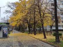 Валежите най-после спират