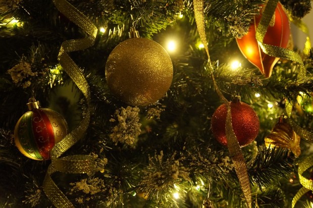 Светлините на коледното дърво в Добрич грейват на 5 декември