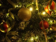 Светлините на коледното дърво в Добрич грейват на 5 декември