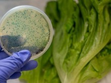 COVID-19 се задържа продължително върху опаковки и върху хранителни продукти