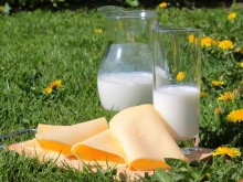БАБХ установи отклонения от изискванията в тринадесет проби от млечни храни