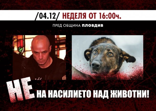 Протест в Пловдив срещу насилието на животни