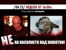 Протест в Пловдив срещу насилието на животни