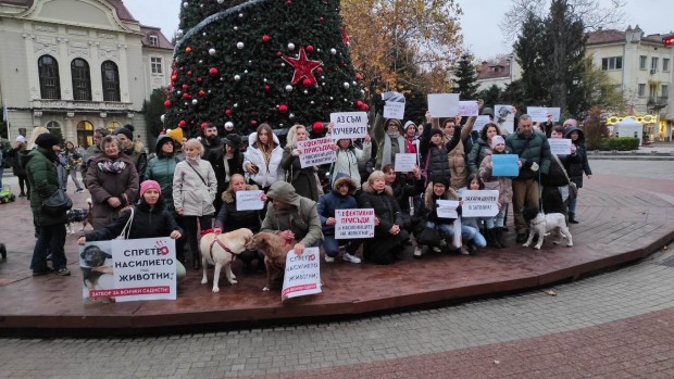 Жителите на Пловдив протестираха срещу насилието над бездомни животни