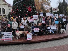 Жителите на Пловдив протестираха срещу насилието над бездомни животни
