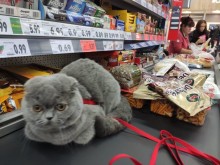 И такъв клиент не бе влизал в "Кауфланд"!