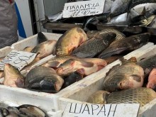 Шаранът – поскъпнал, но и най-търсен на Никулден