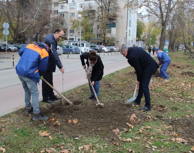 Есенна залесителна кампания 2022 се проведе в район "Северен" в Пловдив