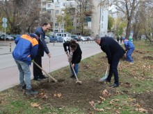 Есенна залесителна кампания 2022 се проведе в район "Северен" в Пловдив
