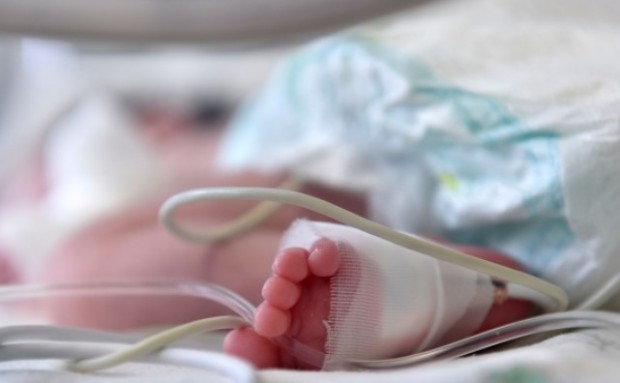 Новозеландските власти поеха временно попечителството над бебе чиито родители блокираха