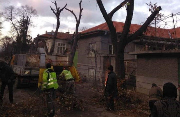 Затварят част от улица в Дупница заради кастрене на дървета