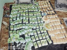 Над 30 000 евро са иззети при претърсвания в Добрич във връзка с операция по противодействие на разпространението на наркотични вещества