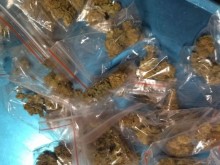 ����� ���� �� ��������� �� ���������� � ��������������� �� �����