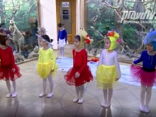 Откриха зала "Морски аквариум" в Пловдив, която е без аналог в света