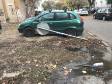 Пловдивчанин: Унищожаваме всичко около нас и никой не ни е виновен за това