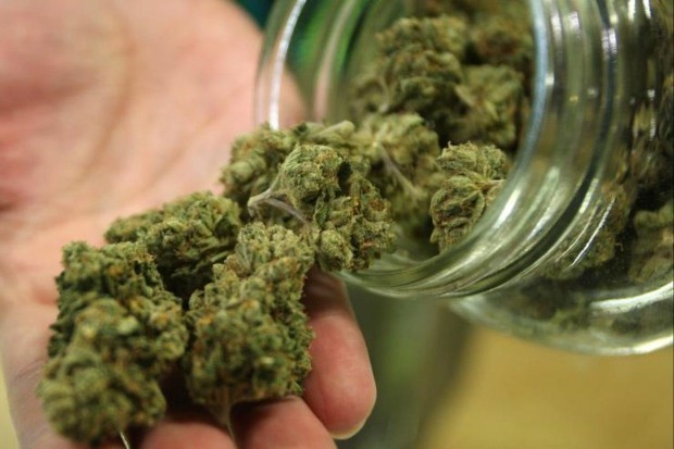 Над 200 килограма марихуана на пазарна стойност около 6 милиона