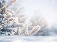 ������� �� � �������� �������, �� ����� � ������� �������� ��� ��� �� ��� �����������
