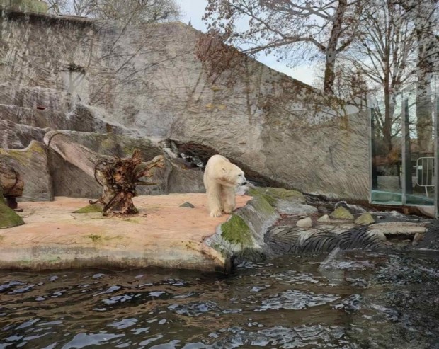 Стара Загора черпи опит от европейски зоопаркове за образователните възможности на местната зооградина и привличане на туристи