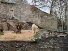 Стара Загора черпи опит от европейски зоопаркове за образователните възможности на местната зооградина и привличане на туристи