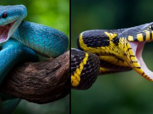 � �������� ���� ���� �� �������� �������