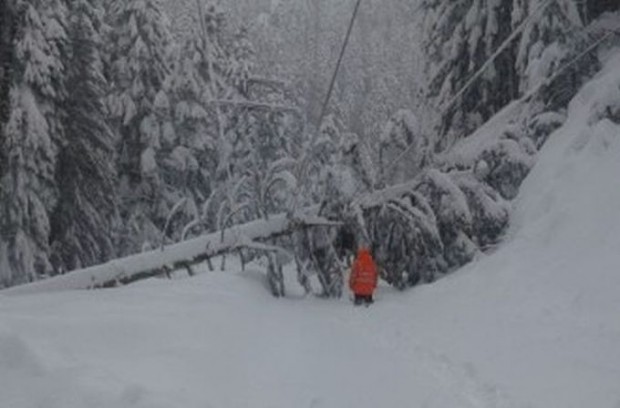 До 15 сантиметра снежна покривка се очаква в Северозападна България до часове