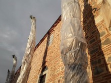 Зазимиха палмите в центъра на Пловдив
