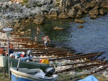 Повишен интерес към Програмата за морско дело и рибарство отчитат в област Добрич
