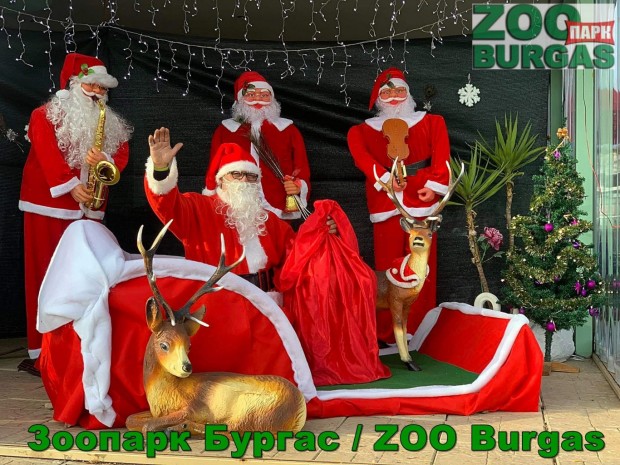 Зоопаркът в Бургас организира празнична програма всеки ден от 17 до 24 декември