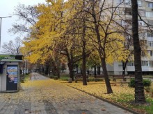 Облачно време и краткотрайни валежи ни очакват днес в Пловдив