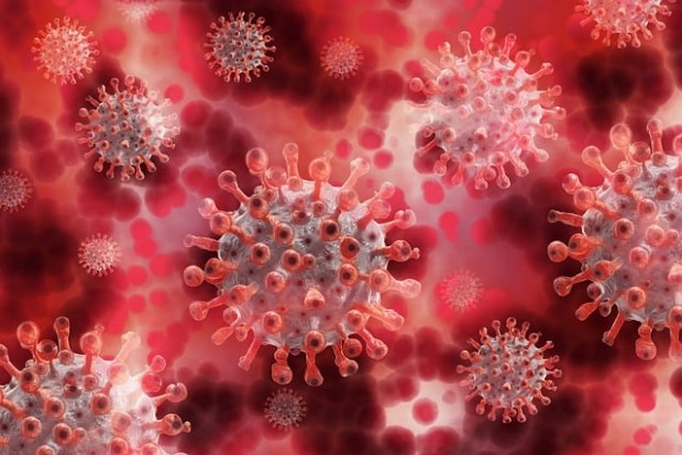 284 са новите случаи на коронавирус в България при направени
