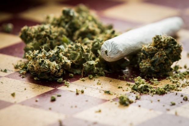 Над 53 кг марихуана са иззели служители от участъка в