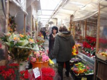 Честита първа пролет
