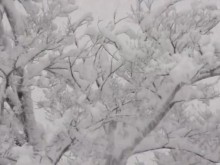 Снежна буря взе три жертви