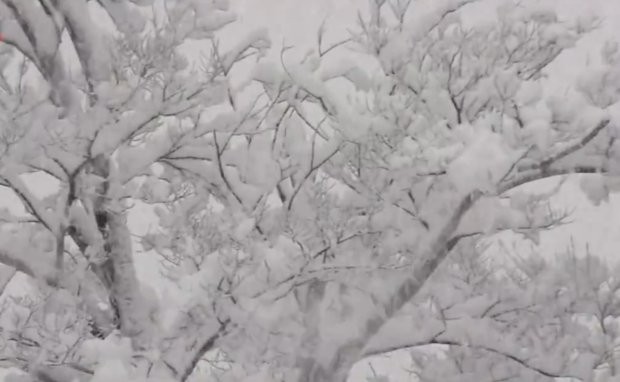 Трима души загинаха при снежната буря в Япония. Стотици превозни