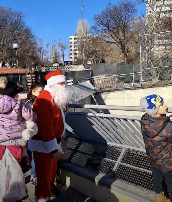 Дядо Коледа раздаде подаръци на обитателите във варненския зоопарк