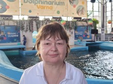 Треньорът на делфини Ивелина Жекова: Делфините са по-добри същества от хората