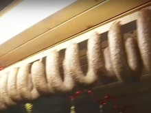 ��� � ������������ ���� ���� ������ ������� � ����, � ������� � 50 �������