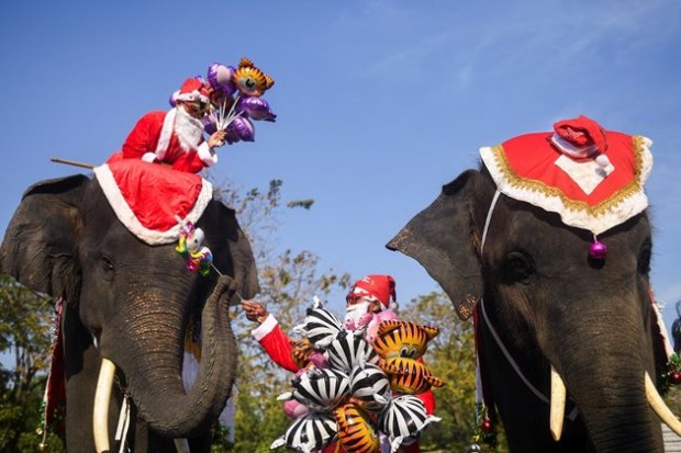 В Тайланд Дядо Коледа пристигна на гърба на слон
