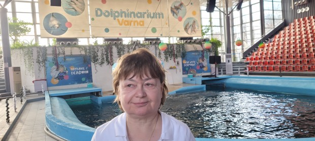 Ивелина Жекова: Няма училище за треньори на делфини - най-важното е те да ни одобрят