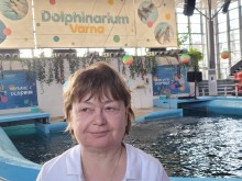 Ивелина Жекова: Няма училище за треньори на делфини - най-важното е те да ни одобрят