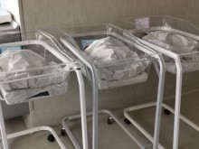 Три Коледни бебета проплакаха в пловдивска болница