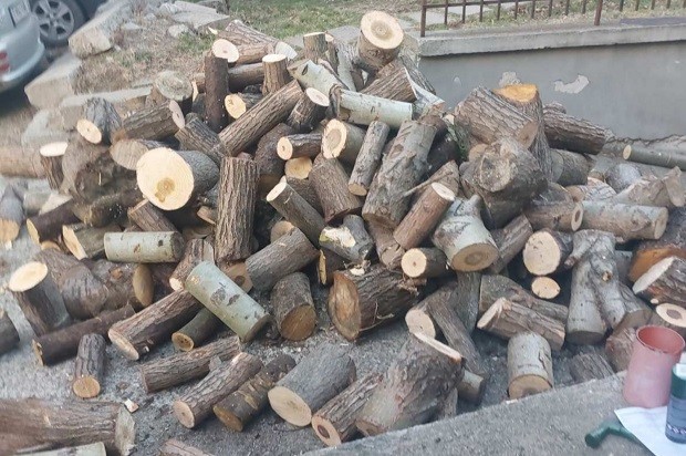 Община Благоевград продължава да предоставя дървесина за огрев на хора в нужда