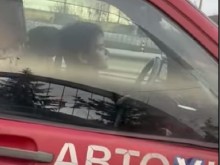 ������� ������� ������ ��������� �� �������