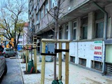 Над 100 дървета засаждат на бургаската улица "Шейново"