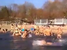 Любители на моржуването скриха шапката на всички!