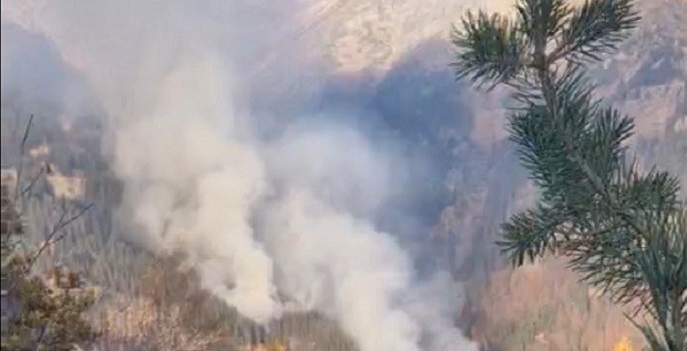По-малко горски пожари са регистрирани за 2022 година в кюстендилско