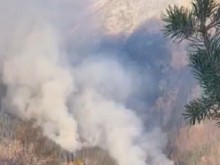 По-малко горски пожари са регистрирани за 2022 година в кюстендилско