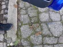Пловдивчанин: Тротоарите не са тоалетна за кучетата ви!