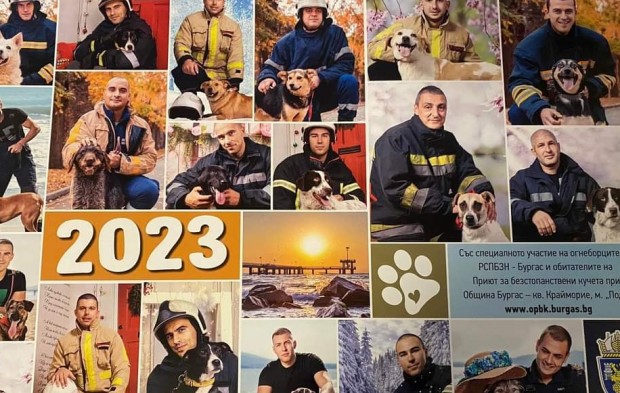 С календар бургаската пожарна събира средства за бездомните кучета
