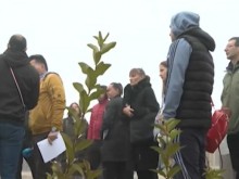 ������ �� ���������� ���� ������� ������ �����������, ����� �� ��� ����� ��� ���